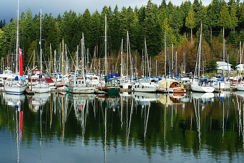 Port Ludlow Marina in Washington