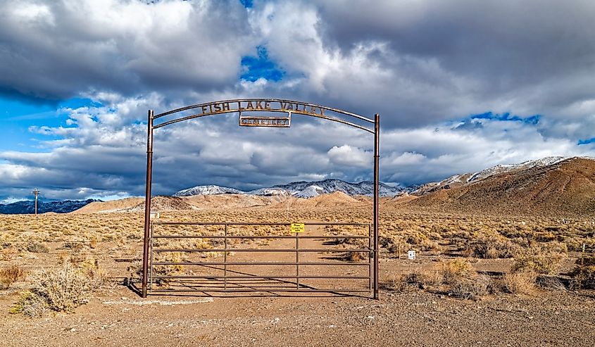 Fish Lake Valley, Dyer, Nevada.