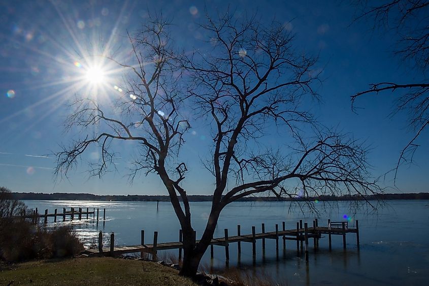 Wiinter sun makes a star pattern over piers and a bare-branched mulberry tree at Breton Bay in Leonardtown, Maryland.