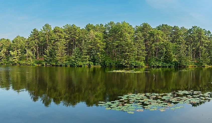 A panoramic view of Harry Wright Lake in Manchester Township New Jersey.