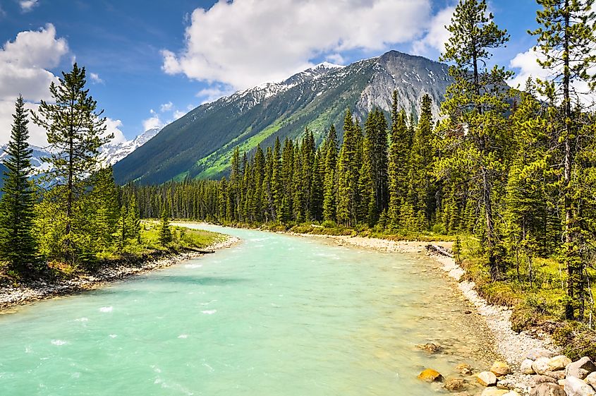 River Kootenay national park