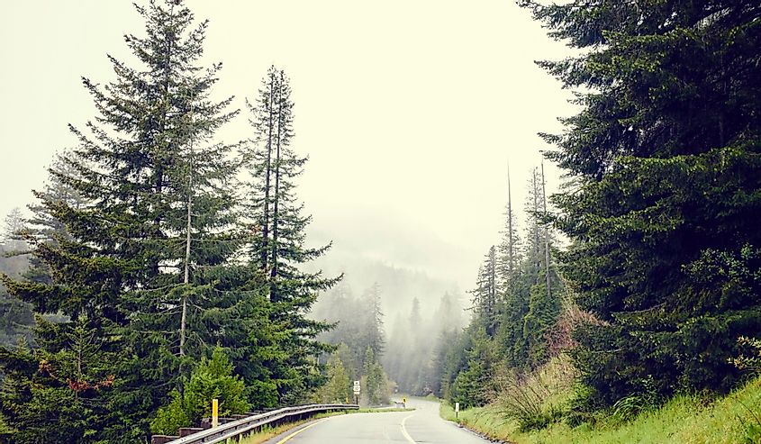 Redwood Highway, route 101, Eureka, California.