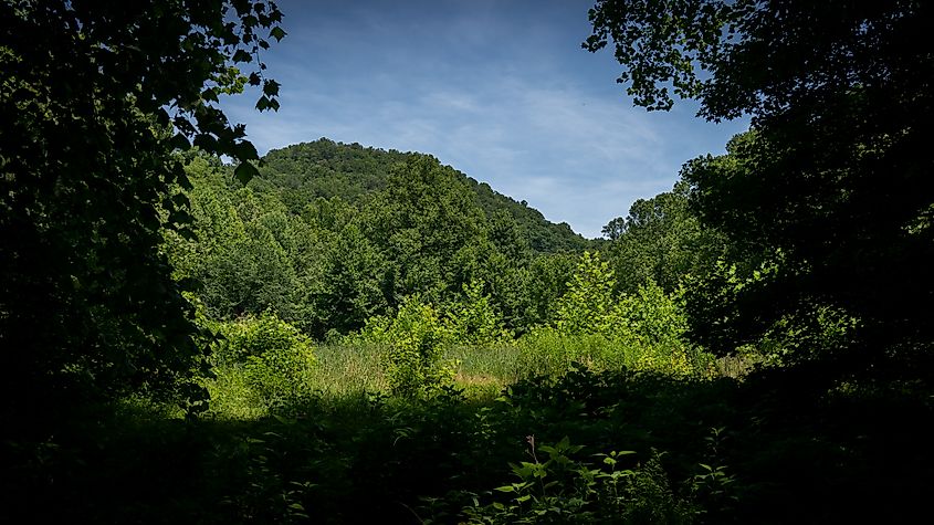 Forested hills at Kanawha State Forest near Charleston, WV