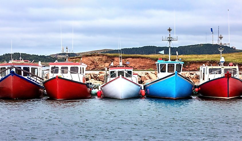 A row of colour fishing boats in the harbour of Havre Aubert, Magdalen Islands, Canada.