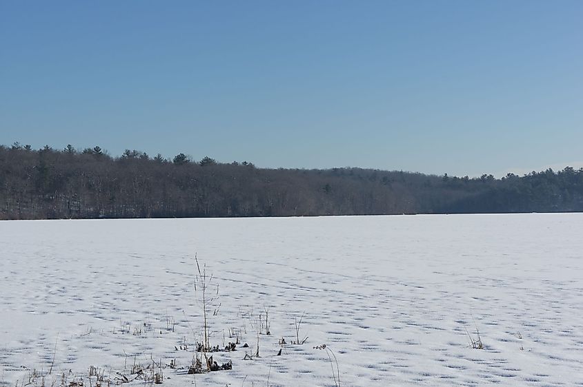 The frozen pond of Ponkapoag in the Blue Hills Preserve. 