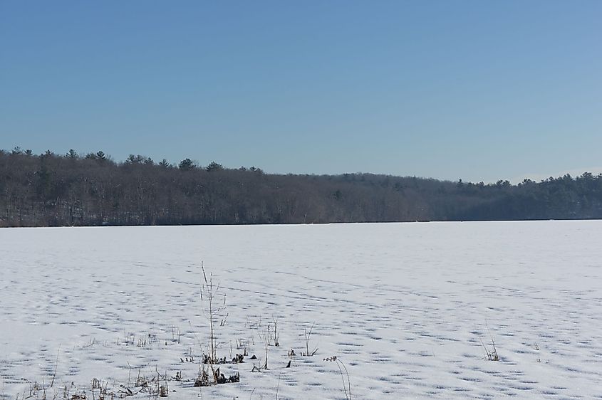 The frozen Ponkapoag pond in Blue Hills Reservation. 