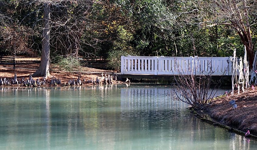 "Aiken, South Carolina/USA - 12/02/2019: A pond in the park."