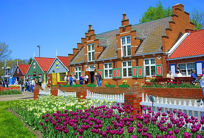 Tulip Time Festival in Holland, Michigan, in spring.