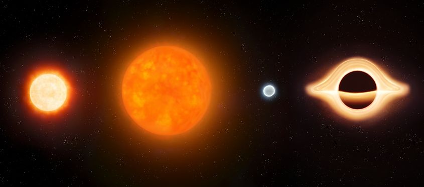 Stages of star evolution from protostar to black hole. Young star, red supergiant, white dwarf and black hole. (Nazarii_Neshcherenskyi via Shutterstock)