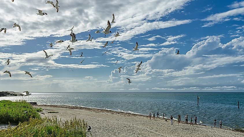 oracoke island beach