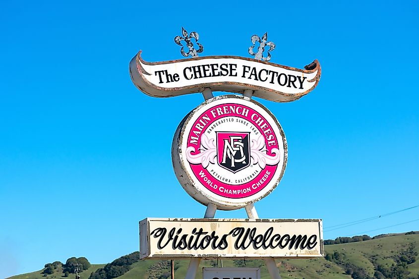 cheese factory Marin county
