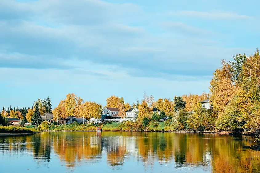 Fall colors along the Chena River in Fairbanks, Alaska.