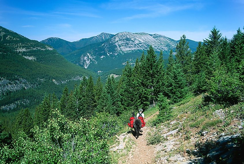 heading down a mountain pass trail on a summer day in the Bob Marshall Wilderness