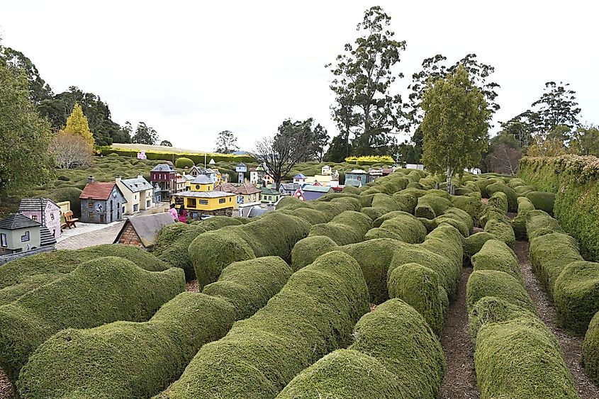 Tasmazia in Promised Land, Tasmania.