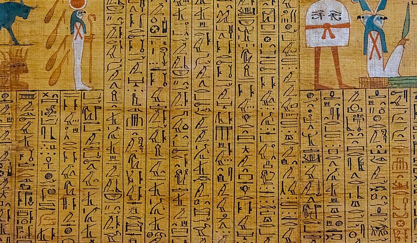 Egyptian ancient papyrus with different pictures and hieroglyphics