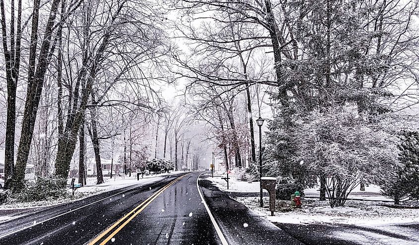 An empty road passing through trees covered in snow in Dover, Delaware, United States