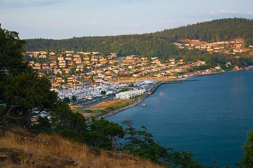 A view of the Anacortes Island Marina and homes on the hill overlooking Burrows Bay, Puget Sound, Washington.