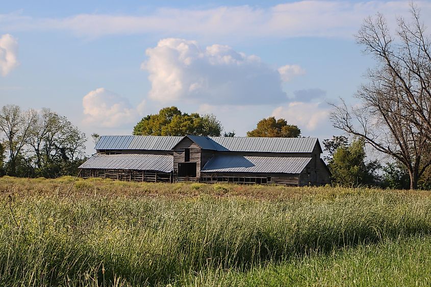Historic barn in the fields of Headland, Alabama.