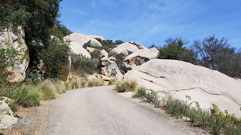 Nature Trail In San Diego