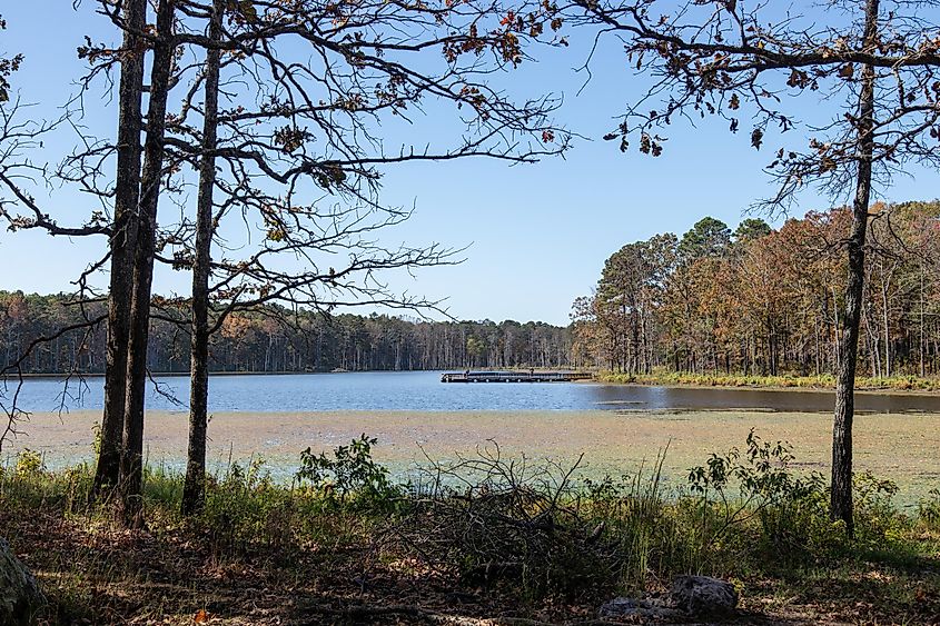 Pinewoods Lake in Mark Twain National Forest.