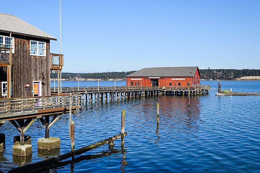 he Coupeville Wharf in Washington State under clear blue sky with view of Penn Cove