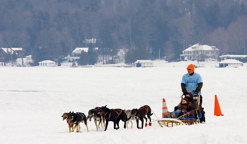 Kids having a fun ride in a dog sled on the ice of Lake George during the February 7 , 2009 Lake George Winter Carnival.