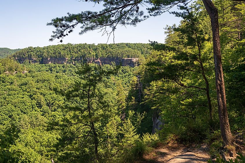 Red River Gorge Geological Area in Kentucky. Credit: Zack Frank / Shutterstock