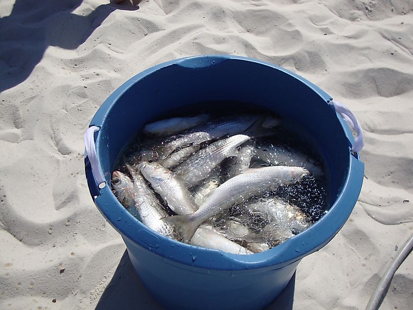 Perdido Key, Florida