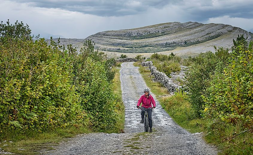Scenic nature near Ballyvaughan, County Clare, Ireland.
