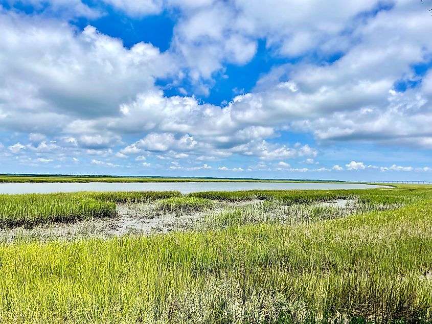 the Atlantic Ocean coastline and Hunting Island State Park in South Carolina.