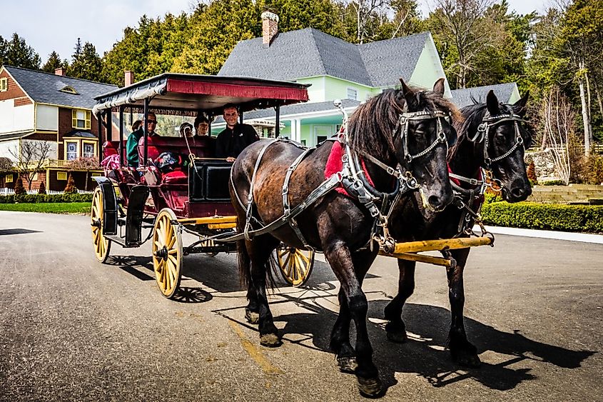 Horse drawn carriages, Mackinac Island, Michigan.