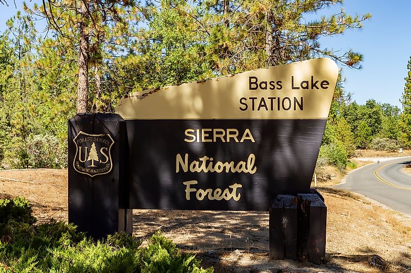  This wooden sign sits at one of the entrances to the Bass Lake area of the Sierra National Forest in California. 
