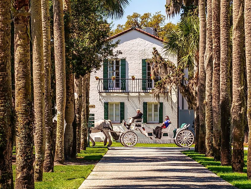 Horse-drawn carriage on a sunlit path lined with tall palm trees. A white house with green shutters is in the background, creating a serene, nostalgic scene.
