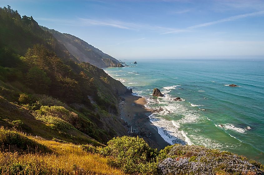 Redwood National Park in California. 