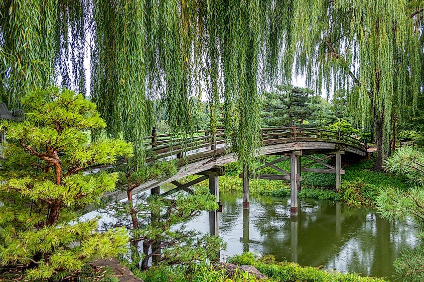 Japanese Island Bridge at Elizabeth Hubert Malott Japanese Garden inside Chicago Botanic Garden.