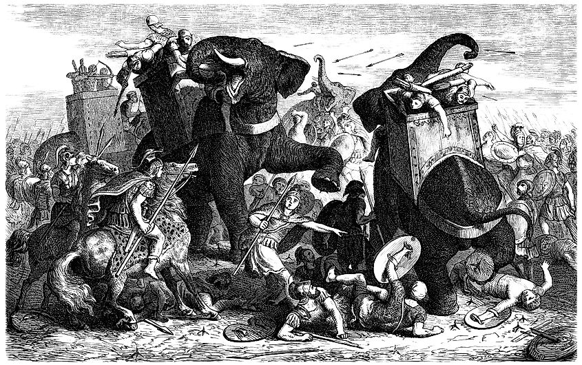 Elephants used in war.