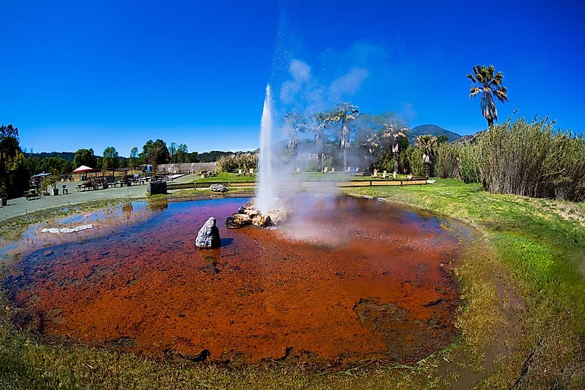 Old Faithful geyser in Calistoga, Napa Valley, Northern California