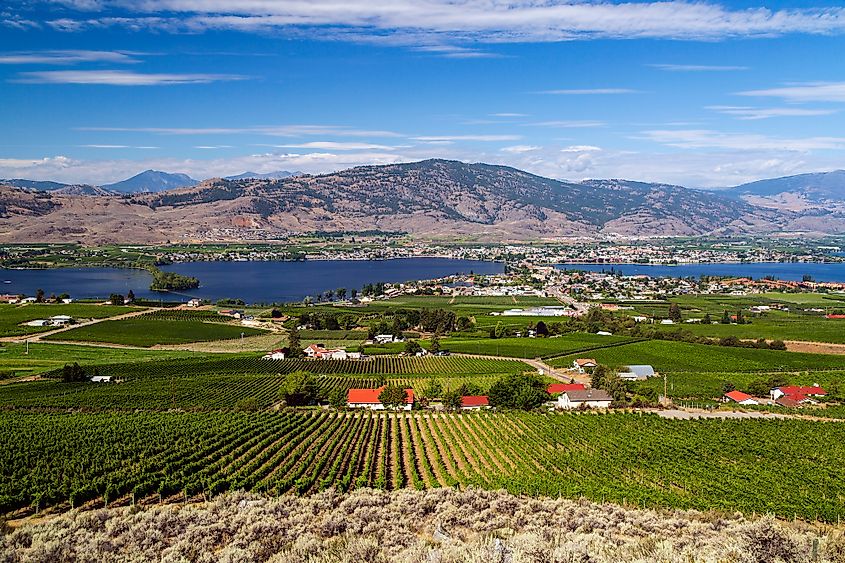 View of the small town of Osoyoos 