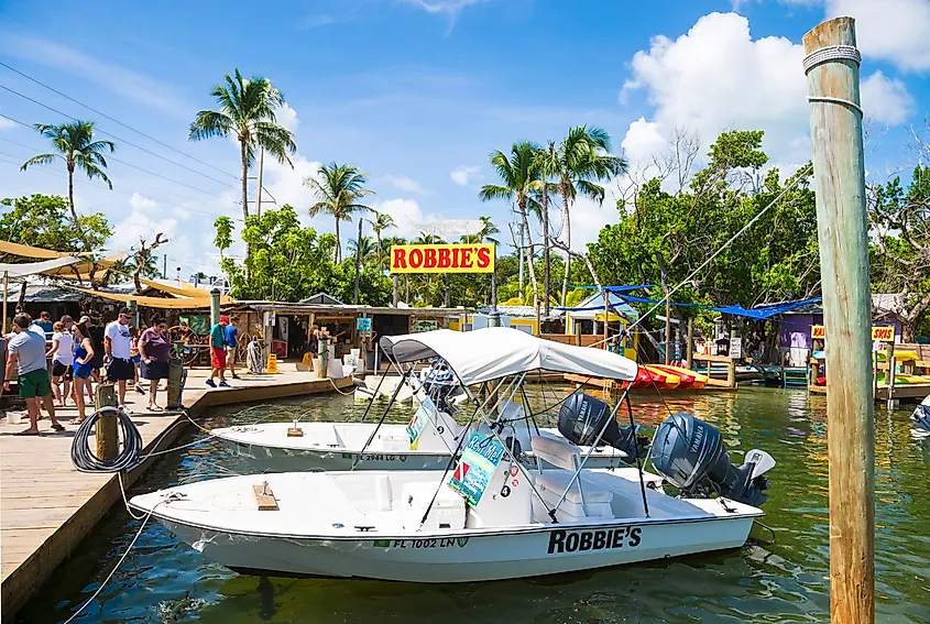 Robbie's Marina in Islamorada, Florida.