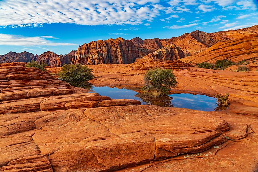 Seasonal Pond in the Sandstone of Snow Canyon State Park