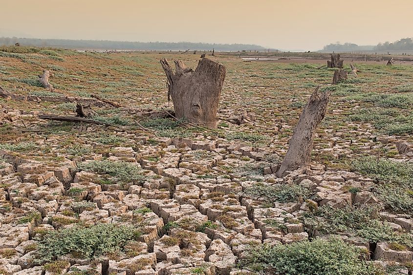 Drought and desertification are some of the negative consequences of deforestation.