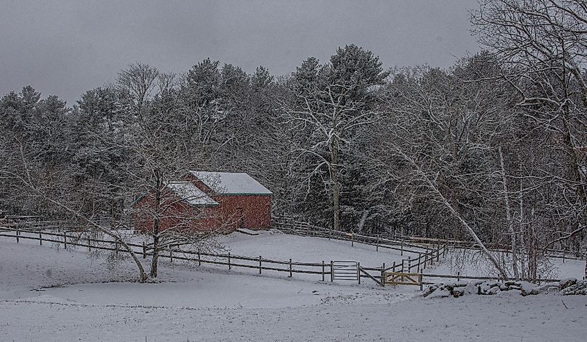 Small rural house surrounded by snowy trees in Burrillville, Rhode Island