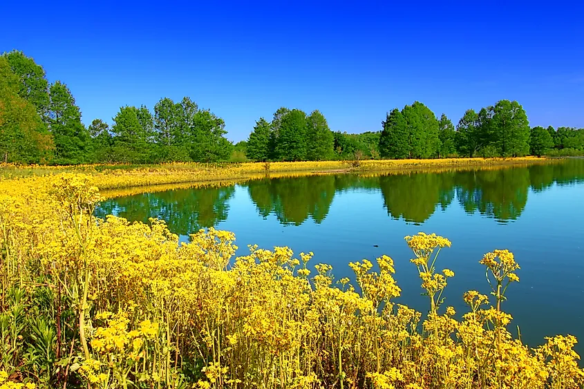 Carlyle Lake at Eldon Hazlet State Park Illinois.