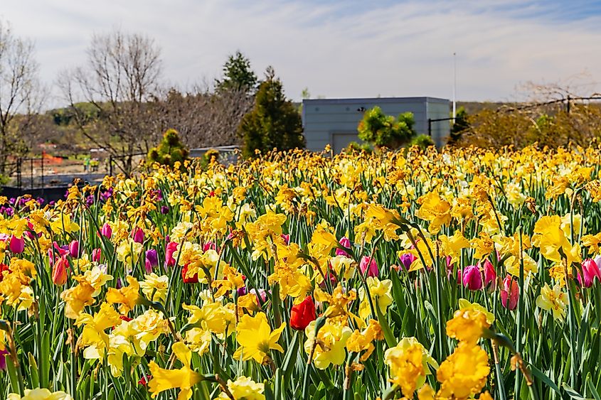 Tulsa Botanical Garden