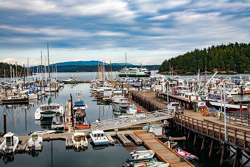 The marina in Friday Harbor, Washington.