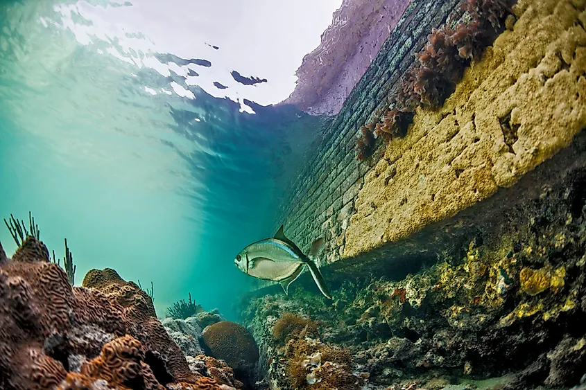 Dry Tortugas National Park, Florida.