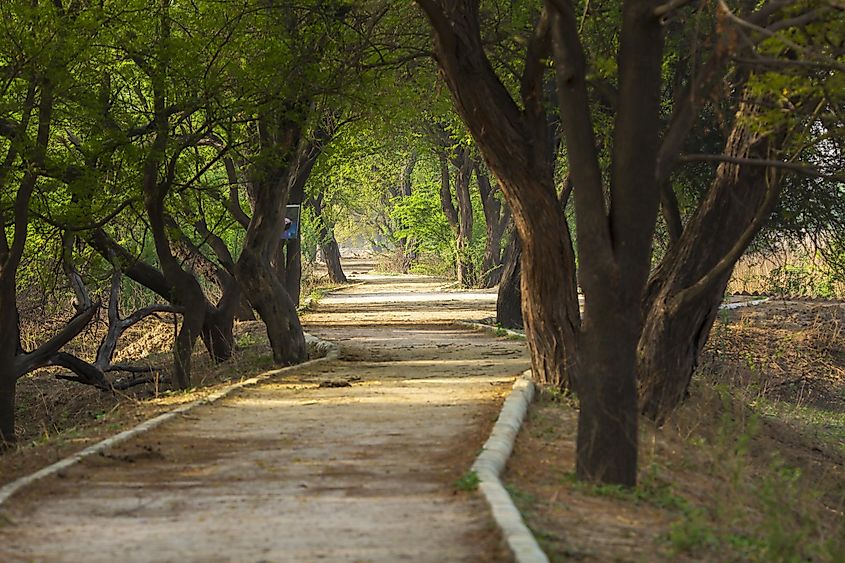 Sultanpur National Park