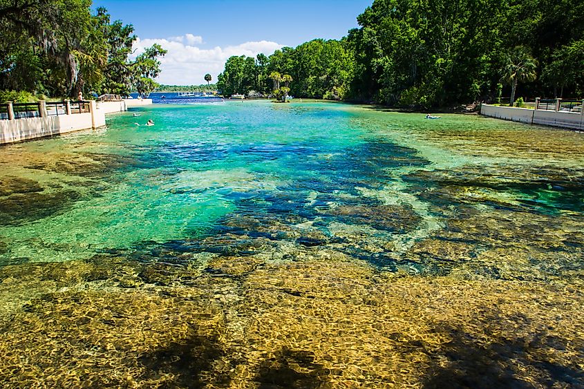 Salt Springs, Florida.
