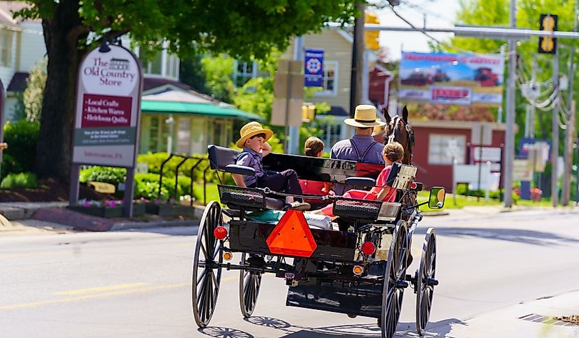 An Amish wagon travels through the village of Intercourse with The Old Country Store in the background.