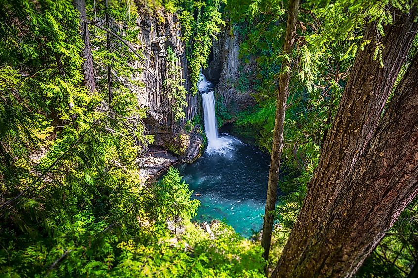 Toketee Falls on Umpqua Scenic Byway, Southern Oregon